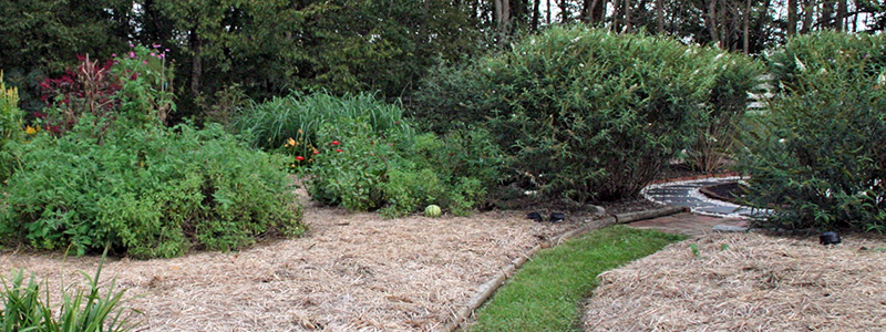 Jardin co-créatif